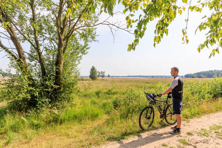 Fietser in natuurgebied Dwingelderveld nabij vakantiepark RCN De Noordster