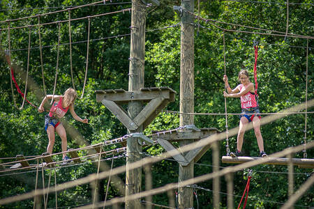 Kinderen op het klimpalenparcours op vakantiepark RCN de Roggeberg