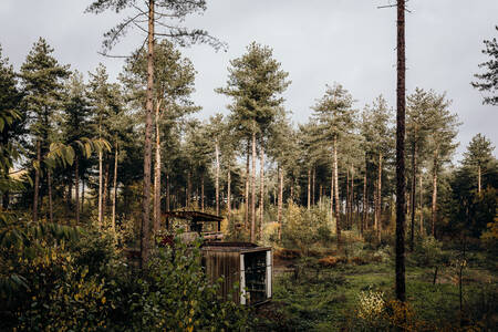 Cabin tussen de bomen in het bos op vakantiepark Recreatiedomein Warredal