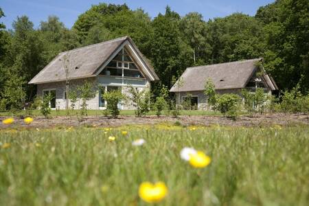 2 Vakantiehuizen met rieten daken op vakantiepark Roompot Buitenplaats De Marke van Ruinen