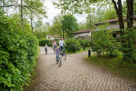 Gezin fietst over het bosrijke vakantiepark Roompot Bungalowpark Hoenderloo
