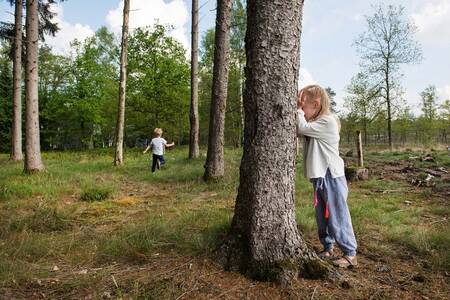 Kinderen spelen in de Veluwse bossen rondom Roompot Bungalowpark Hoenderloo