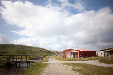 Vrijstaande vakantiehuizen op vakantiepark Roompot Callantsoog naast duinen