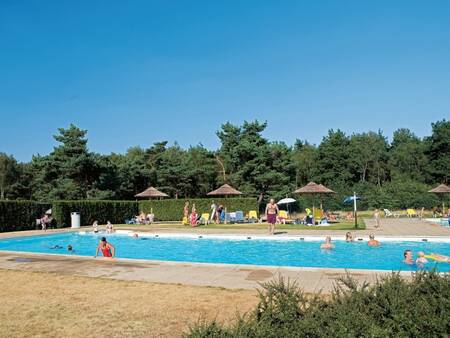 Mensen zwemmen in het buitenbad van vakantiepark Roompot De Veluwse Hoevegaerde