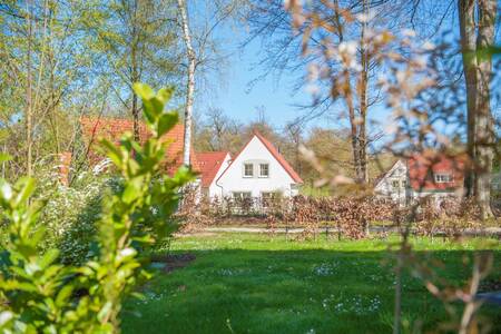 Vakantiehuizen in het groen op vakantiepark Roompot Ferienresort Bad Bentheim