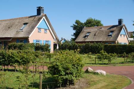 Vrijstaande rietgedekte vakantiehuizen op vakantiepark Roompot Kustpark Texel