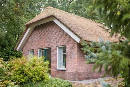 Een vakantiehuis met rieten dak op vakantiepark Roompot Landgoed Het Grote Zand