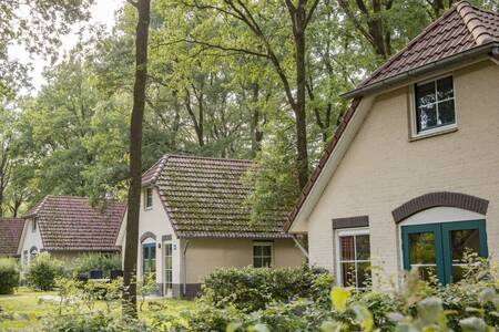 Vrijstaande vakantiehuizen op vakantiepark Roompot Recreatiepark de Tolplas