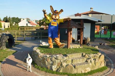 Koos konijn, de mascotte van Roompot, in de kinderboerderij van vakantiepark Roompot Resort Arcen