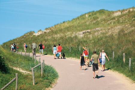 Wandelpad tussen de duinen naar zee vanaf vakantiepark Roompot Resort Duynzicht