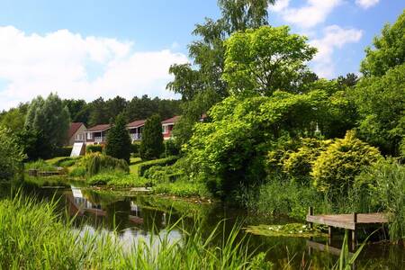 Vakantiehuizen en een steiger aan het water op Roompot Vakantiepark Emslandermeer