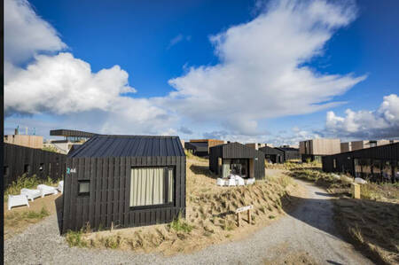 De vakantiehuizen op vakantiepark Roompot Zandvoort liggen in de duinen