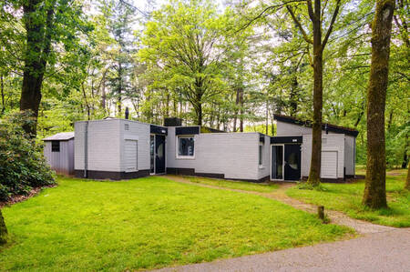 Vakantiehuizen in het groen op Summio Vakantiepark De Berkenhorst