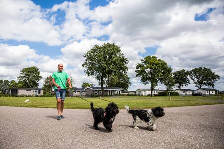 Man met honden wandelt voor vakantiehuizen op vakantiepark Topparken Park Westerkogge