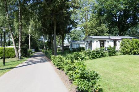 Chalets aan een laan op vakantiepark Topparken Recreatiepark de Wielerbaan