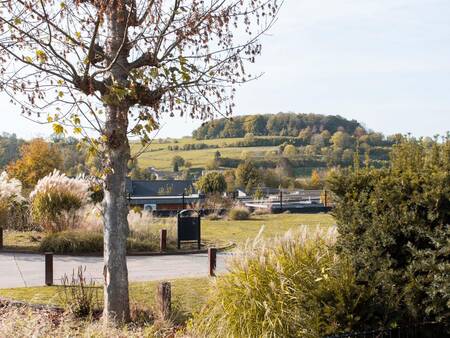 Vakantiehuizen op vakantiepark Topparken Résidence Valkenburg met de Sousberg op achtergrond