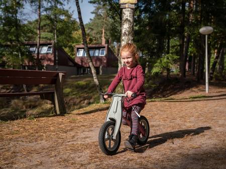 vakantiehuizen op Het Vennenbos