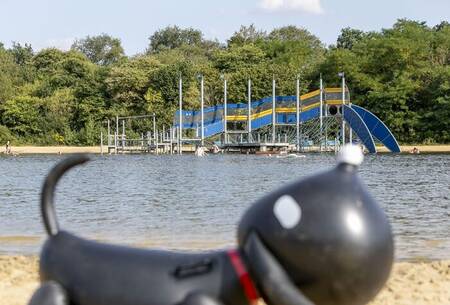 De recreatievijver van vakantiepark Witterzomer met speeltoestellen