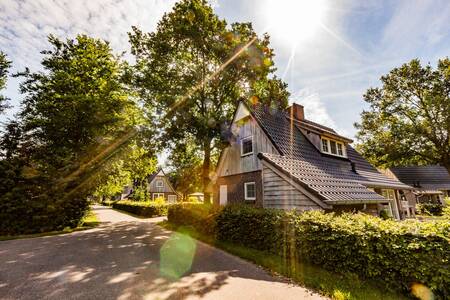 Vrijstaande vakantie villa op vakantiepark Villapark Hof van Salland